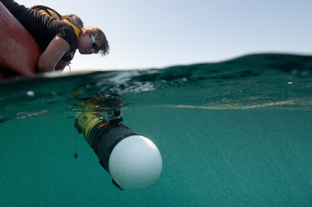 Did you know Hydroid was a WHOI startup? Amy Kukulya releases a REMUS 100 autonomous underwater vehicle (AUV) into the water over the shelfbreak north of Cape Hatteras. (Photo by Chris Linder, Woods Hole Oceanographic Institution)