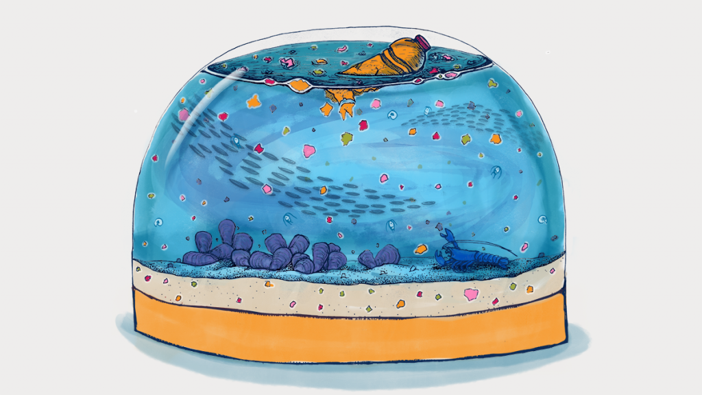 Illustration by Natalie Renier, WHOI Creative
Copyright © Woods Hole Oceanographic Institution